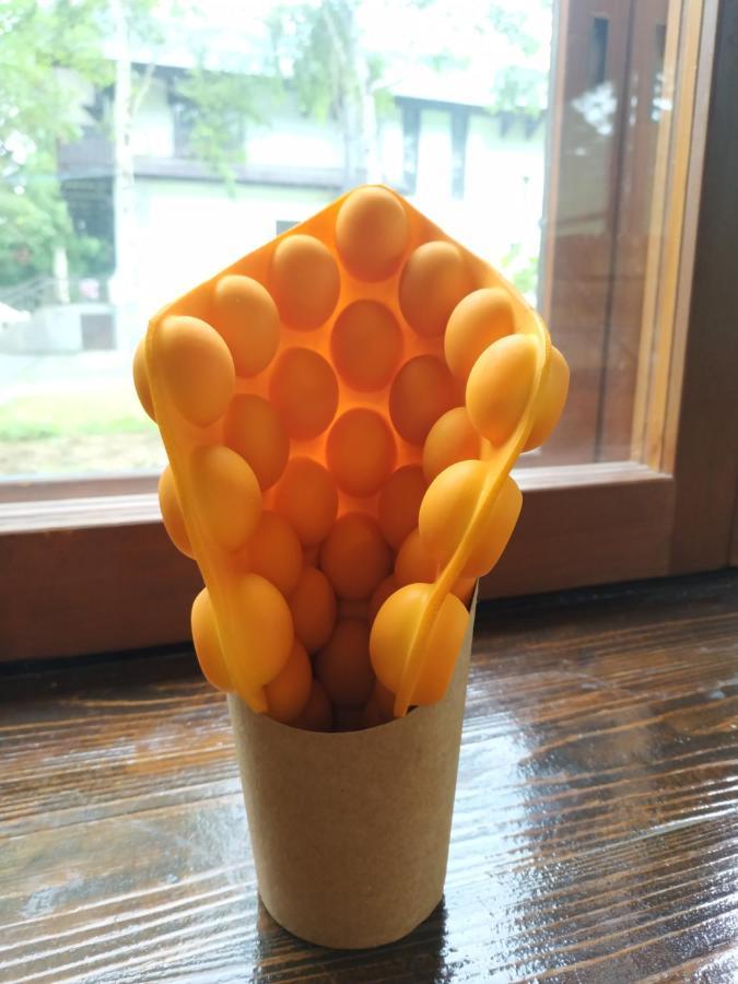 ベッド・アンド・ブレックファスト 紀屋旅館 - 白馬エコーランド 白馬村